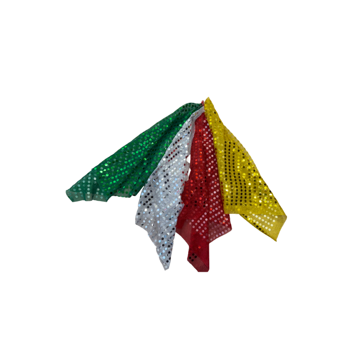 Sequins Sword Flag for Kung Fu, Tai Chi, and Wushu