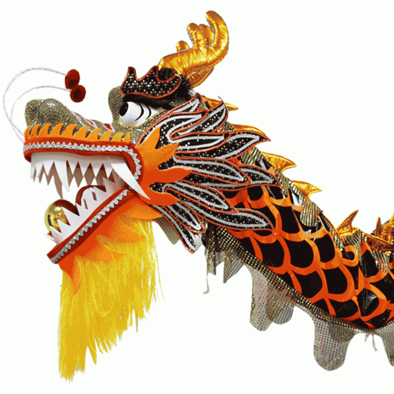 Black Body with Red Scales Dragon Costume Featuring Golden Dragon Fins (D1327) – Pre-Order Only!