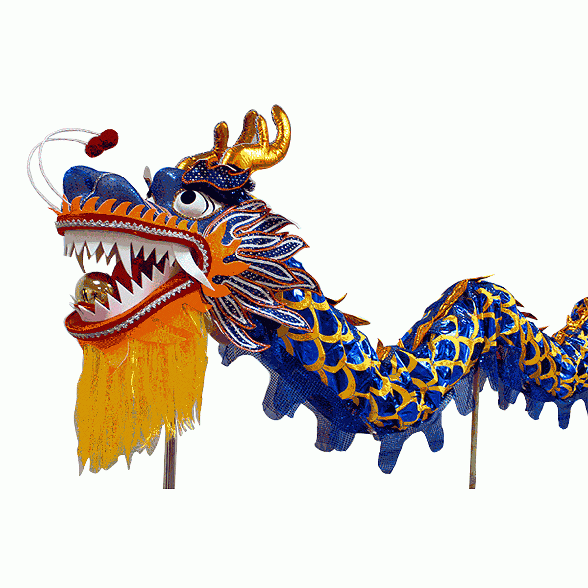 Sapphire Blue Laser Body Dragon with Golden Scales – Competition Dragon Dance Costume (D1322) – Pre-Order Only!