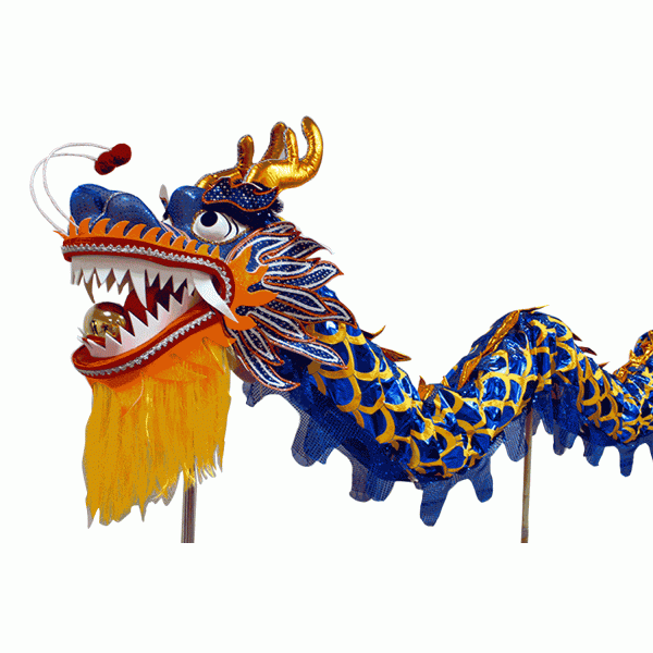 Sapphire Blue Laser Body Dragon with Golden Scales – Competition Dragon Dance Costume (D1322) – Pre-Order Only!