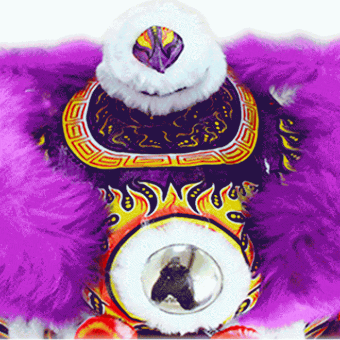 Competition Lion Dance Costume – Purple Full Set