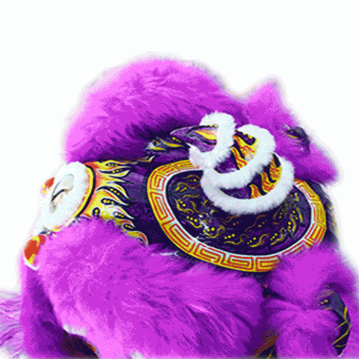 Competition Lion Dance Costume – Purple Full Set