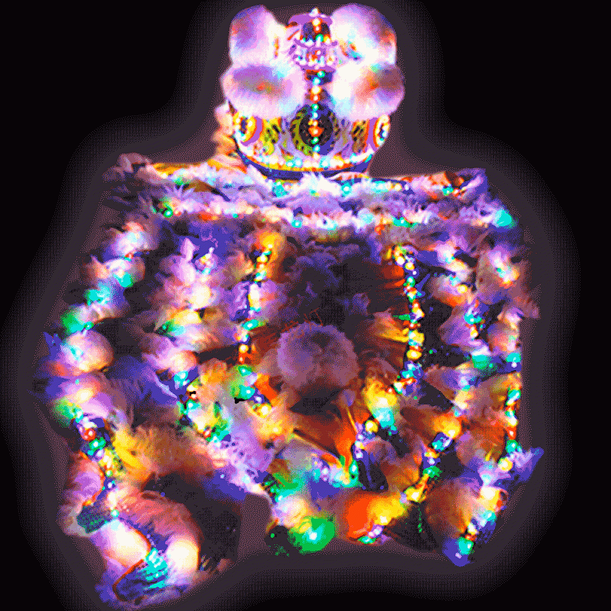 D1309 LED Luminous Fut-San Lion Dance Costume – 5 Color Options with Remote Control
