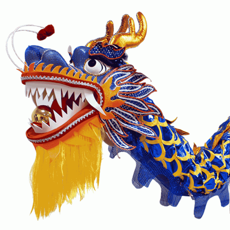 D1322 - Sapphire Blue Laser Body Dragon with Golden Scales -Chinese Dragon Dance Costume