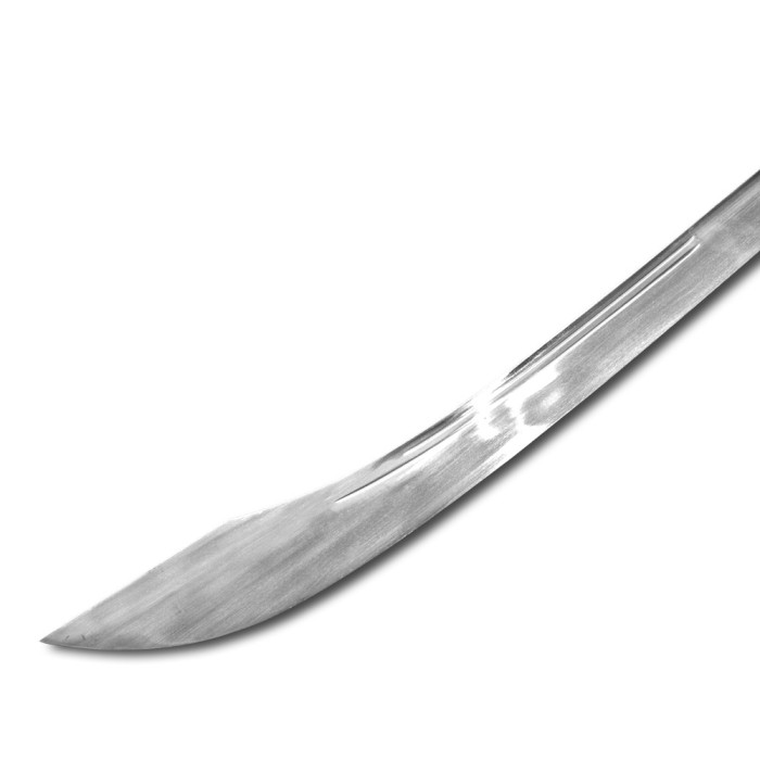 TDS055 – Traditional Kung Fu Broadsword with Forged Steel Blade