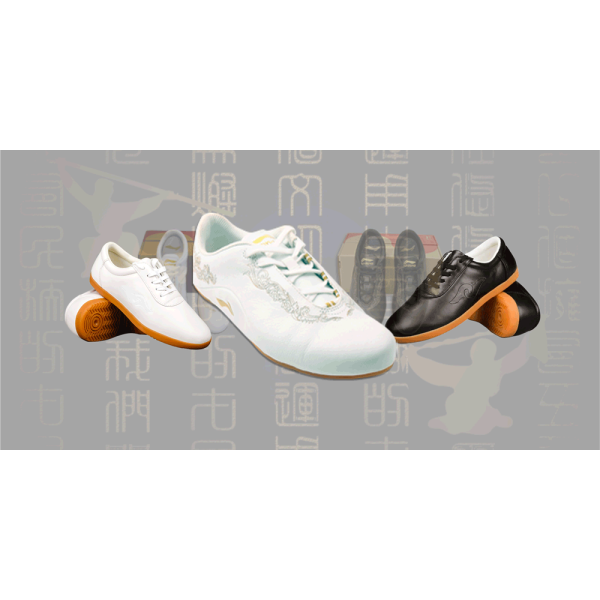 Tai Chi Shoes