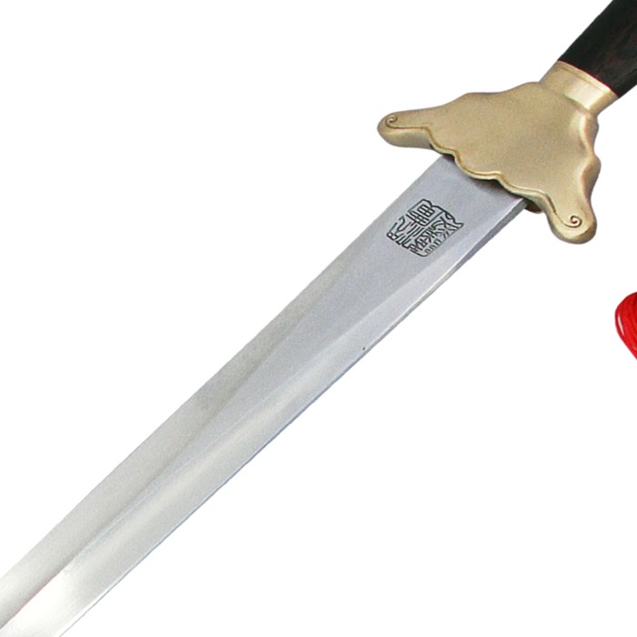 Cold Moon Tai Chi Straight Sword-TDS214