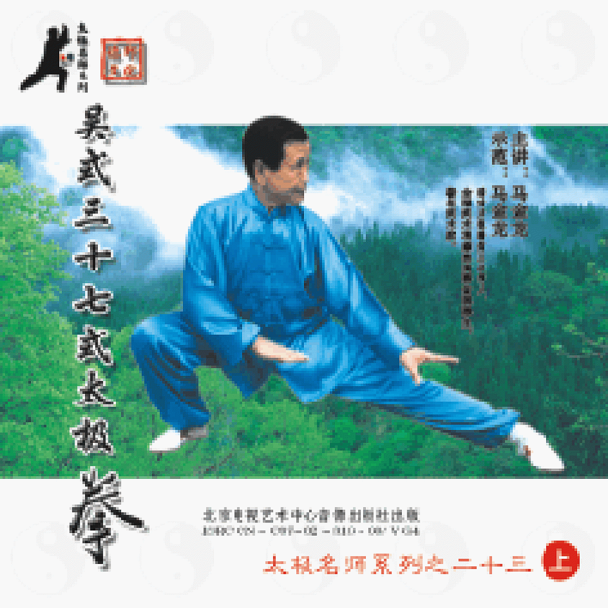 DV1300 - 37 Movement Wu Style Tai Chi