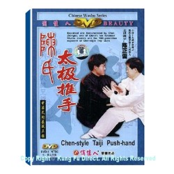 DW009 - Grand Master Chen Zheng Lei Chen Taiji Push-hand