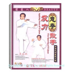 DW028 - Applying Force、free Sparring of Yi Quan　意拳发力﹑散手