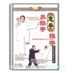 DW029 - The single Turning Palm Of the Liang Style Eight Diagrams Palm 梁式八卦掌单式转掌