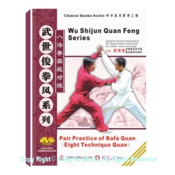 DW118-06 - Pair Practice of Bafa Quan 八法拳实战对练