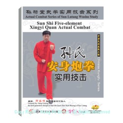 DW134-05 - Sun Shi Xing Yi An Shen Pao Fist Combat Application 