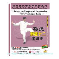 DW134-16 - Sun Style  Shi Xingyi Twelve Pictographic hands