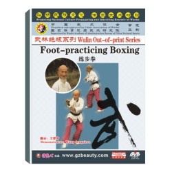 DW146-06 - Foot-Practicing Boxing ( 练步拳）