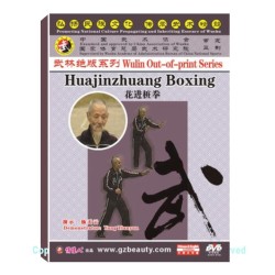 DW146-12 - Huajinzhuang Boxing