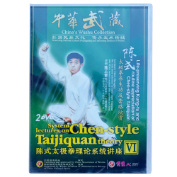 DW196-06 Relation Between Chen Style Tai Chi and Qigong of Chen Style Taijiquan Theory by Grandmaster Zhenglei Chen