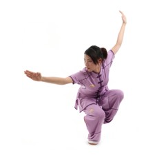 LN100-1 - Li-Ning Lavender Wushu Uniform (Female) 比赛服