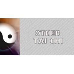 Other Tai Chi Styles