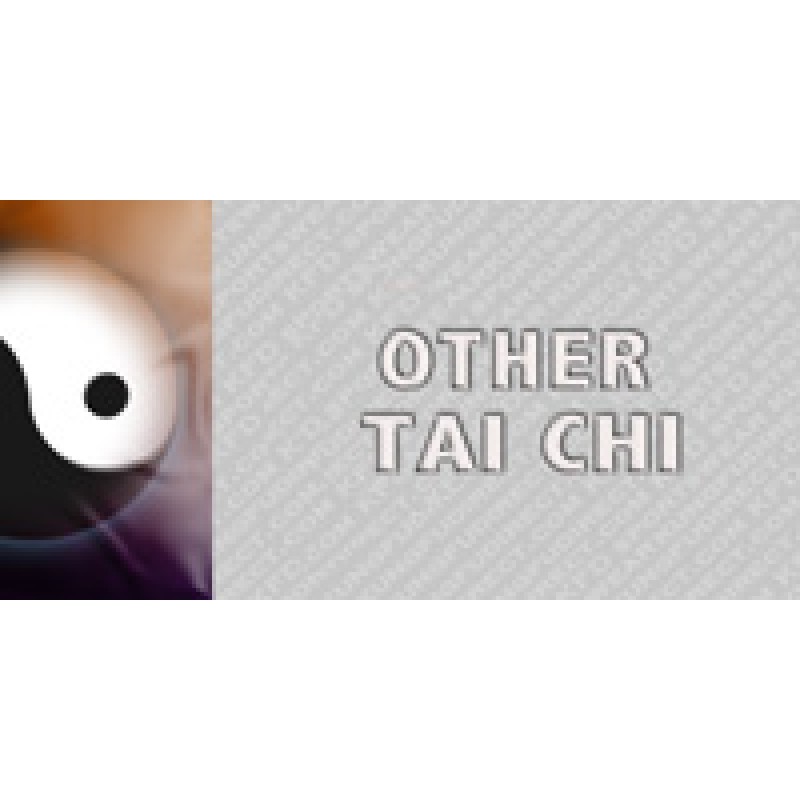 Other Tai Chi Styles