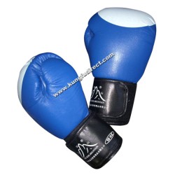 Professional Boxing Gloves Blue