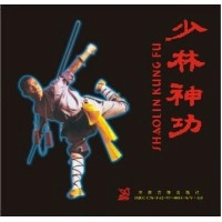 DV2403 - Shaolin Kung Fu Demostration