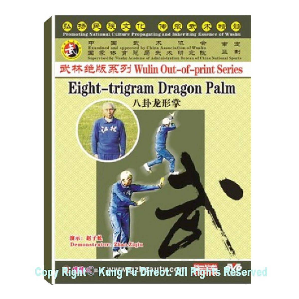 DW146-18 - Eight-trigram Dragon Palm