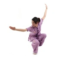 LN100-1 - Li-Ning Lavender Wushu Uniform (Female) 比赛服