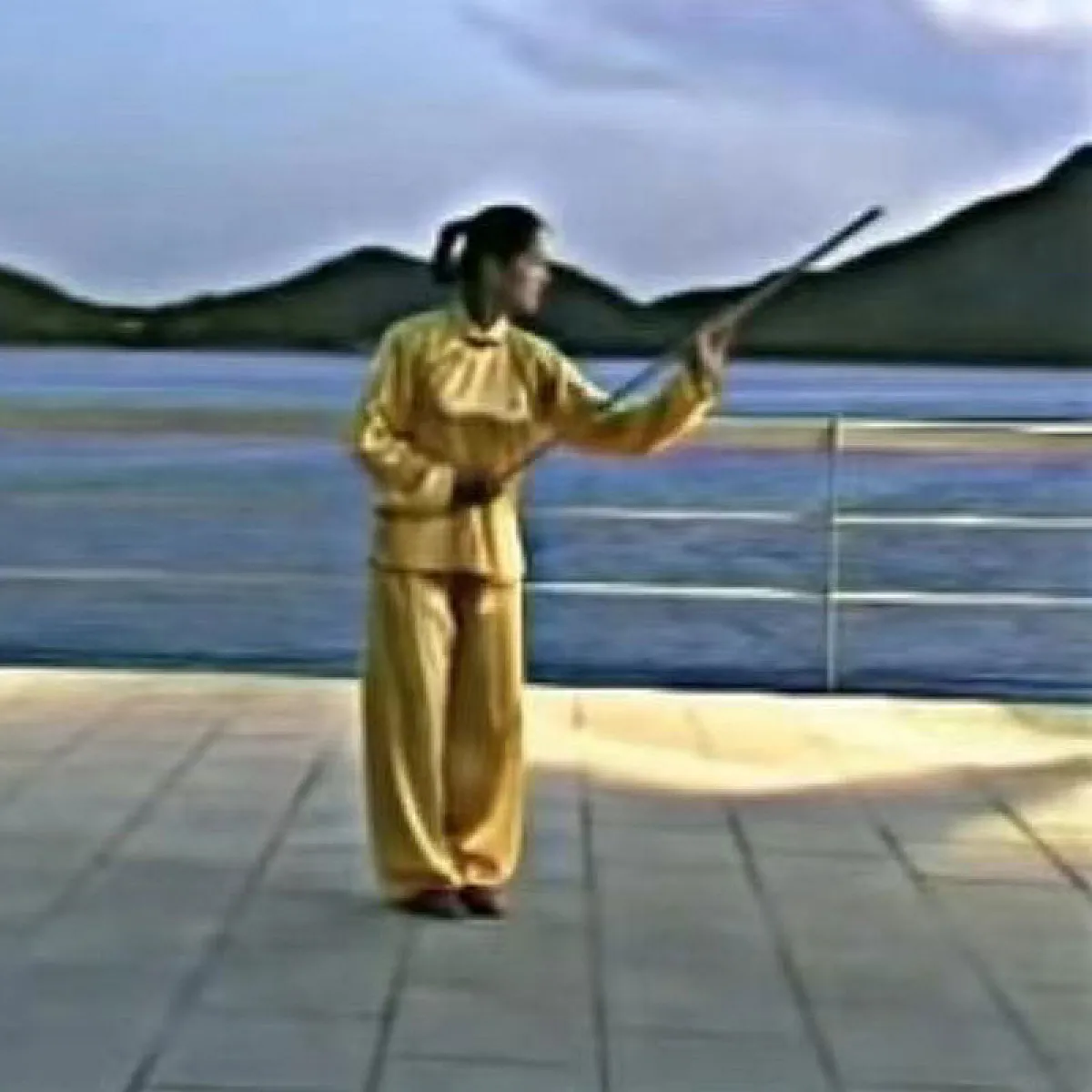 Wax Wood Kungfu Whip-stick - 鞭杆