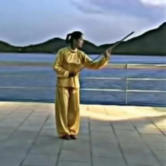 Wax Wood Kungfu Whip-stick - 鞭杆