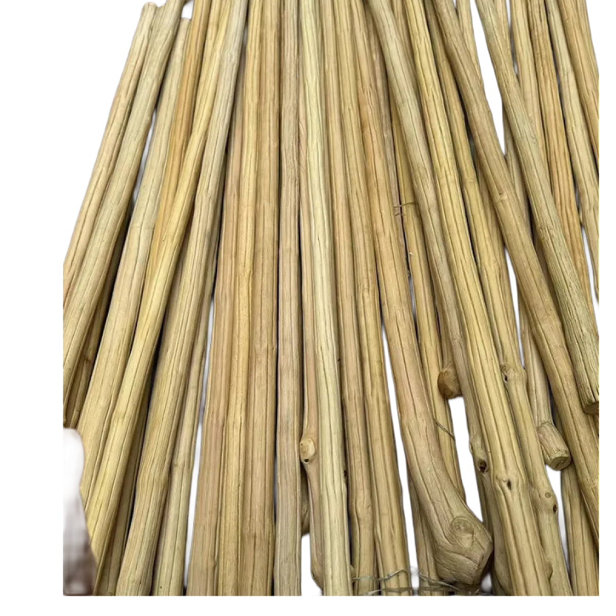 Liu Dao Wood “Dragon-Subduing” Whip Stick 六道木（降龙木）