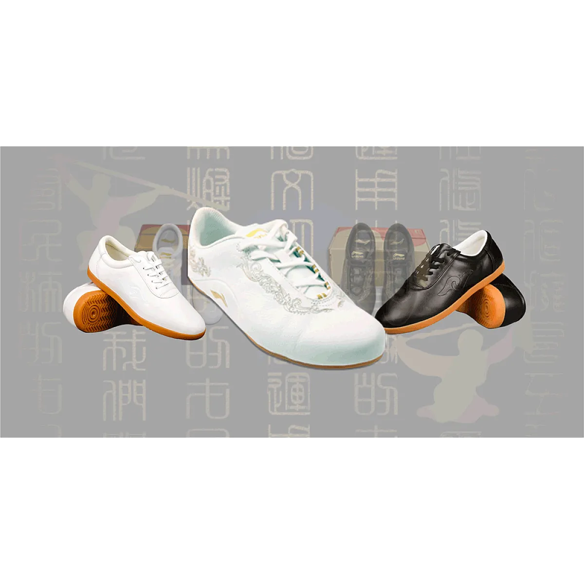 Tai Chi Shoes
