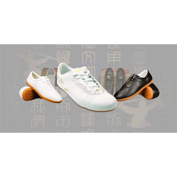 Tai Chi Shoes