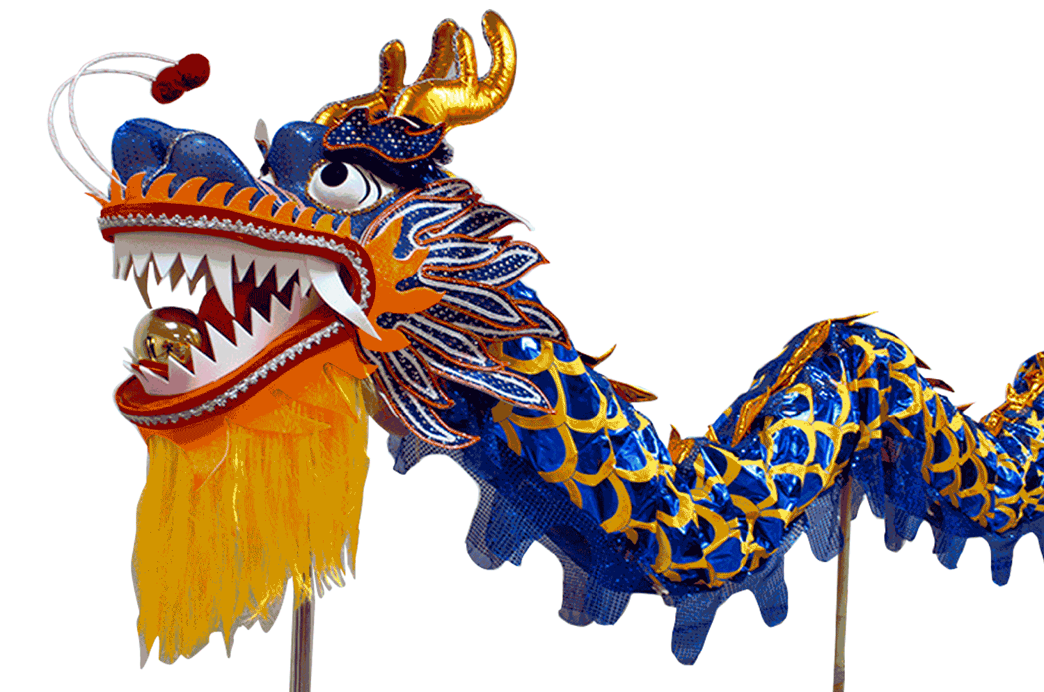 Sapphire Blue Laser Body Dragon with Golden Scales – Competition Dragon Dance Costume (D1322) – Pre-Order Only!