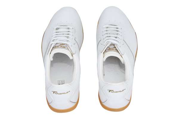 TeamUp Leather Tai Chi Shoes - Premium White OX Leather