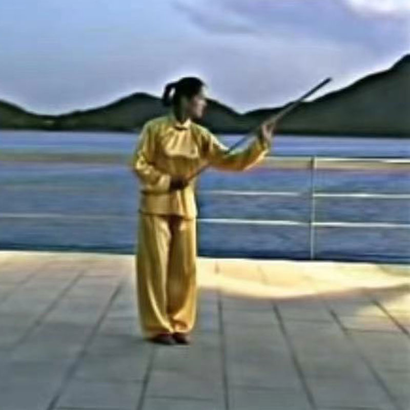 Wax Wood Kungfu Whip-stick - 鞭杆