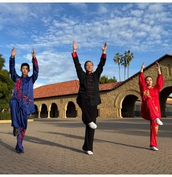 Master Shudong Li – 8 Movements Medical Tai Chi Demonstration and Instruction Video